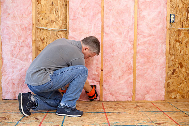 Best Commercial Insulation in Wmette, IL